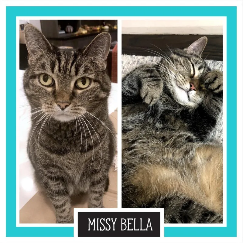 Missy Bella thumbnail 2