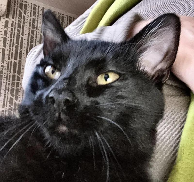 Maksim Maskimovich thumbnail 2