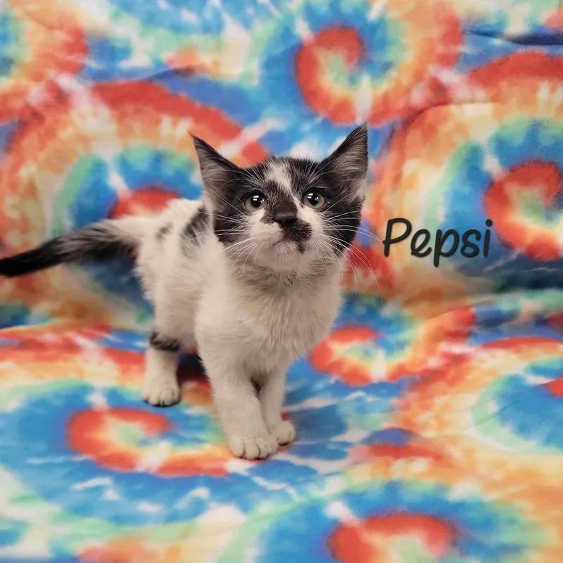 Pepsi