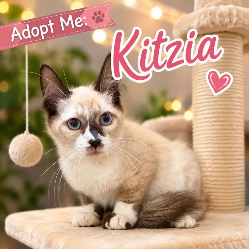 Kitzia