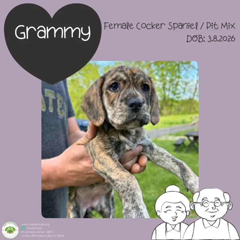 Grammy thumbnail 4