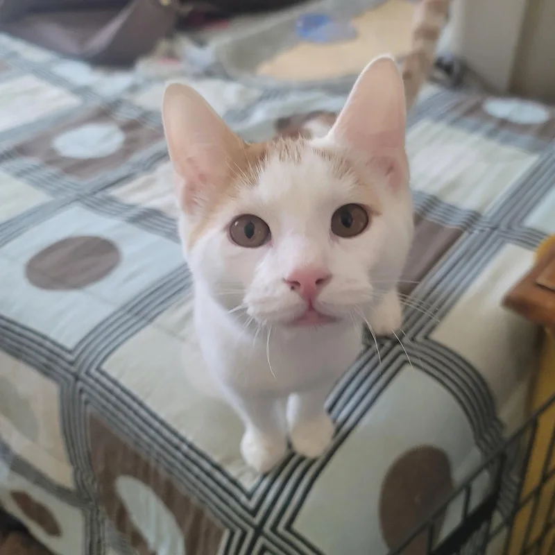 Vivi & Tormund thumbnail 2