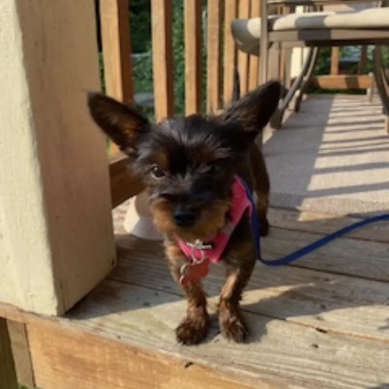 Jenny thumbnail 3