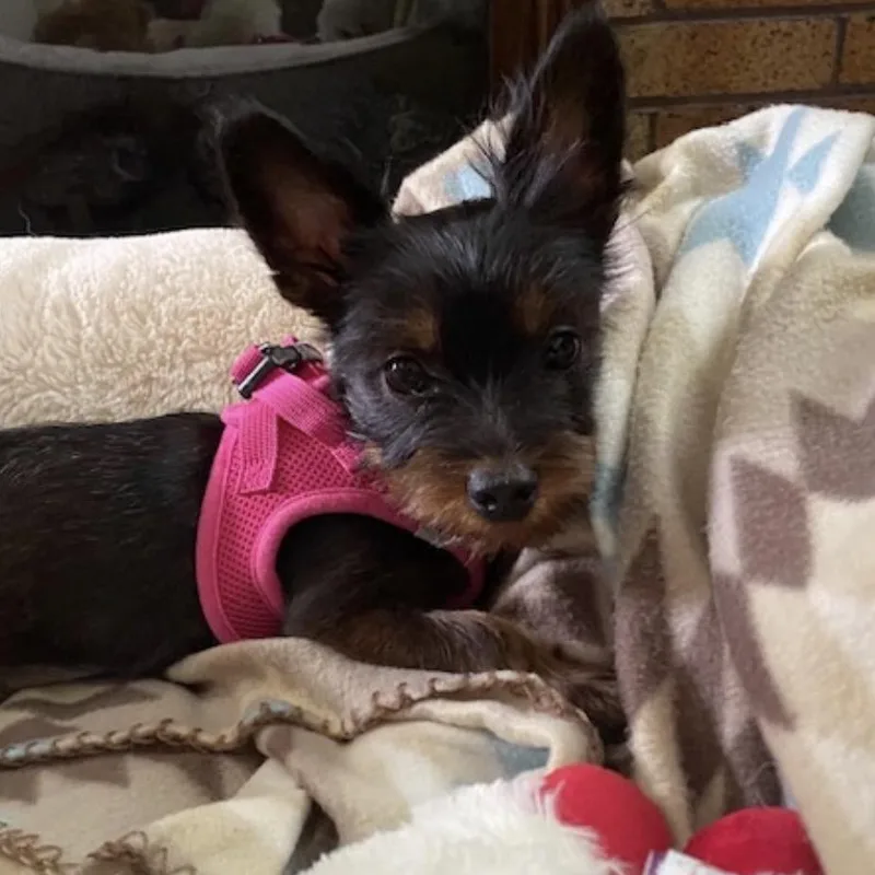Jenny thumbnail 4