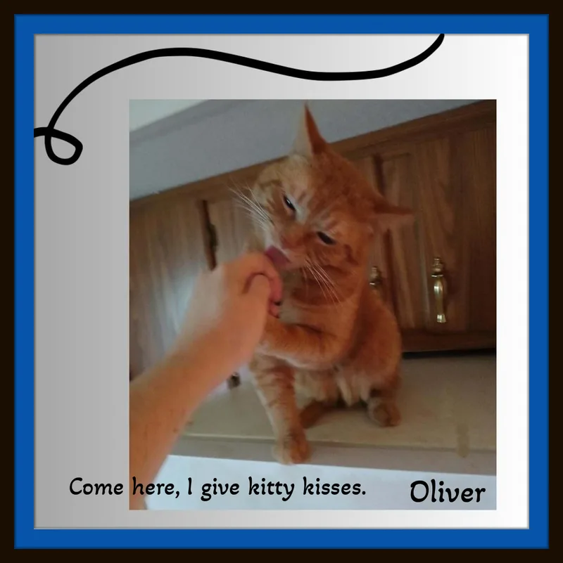 Oliver & Millie thumbnail 2
