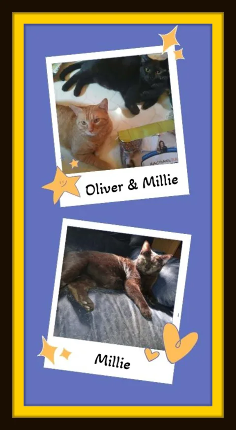 Oliver & Millie thumbnail 3