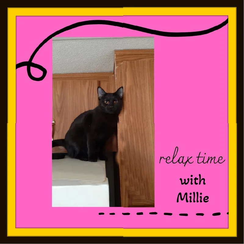 Oliver & Millie thumbnail 4