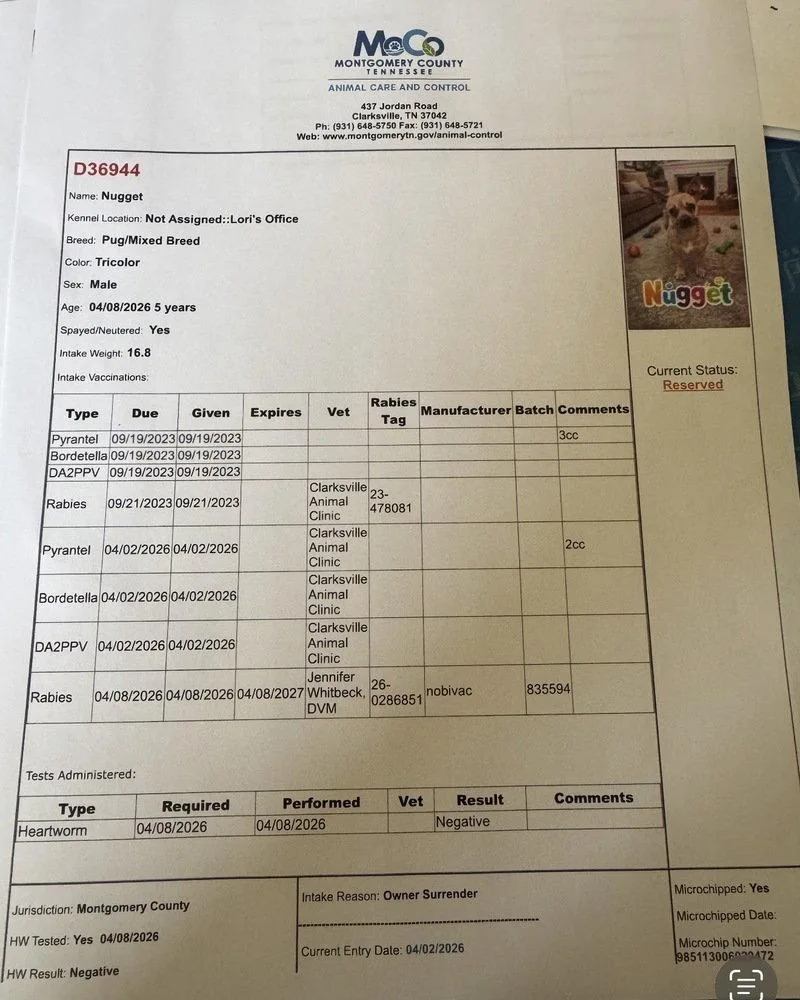 Nugget ~ thumbnail 2