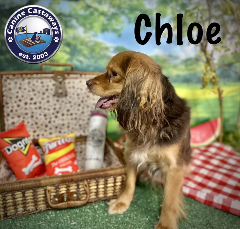 Chloe thumbnail 2