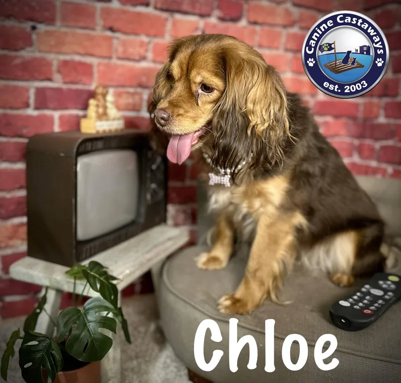 Chloe thumbnail 3