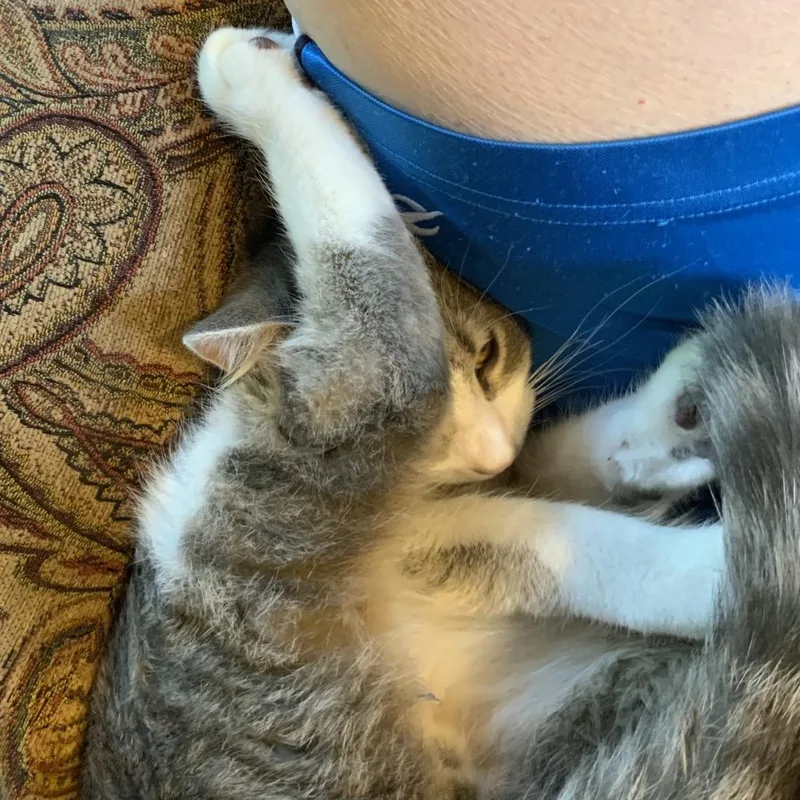 Loki thumbnail 2