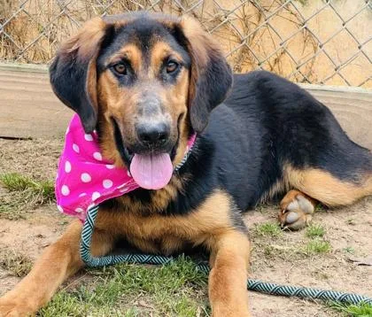 Chikita $ thumbnail 2