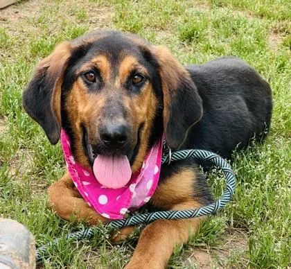 Chikita $ thumbnail 3