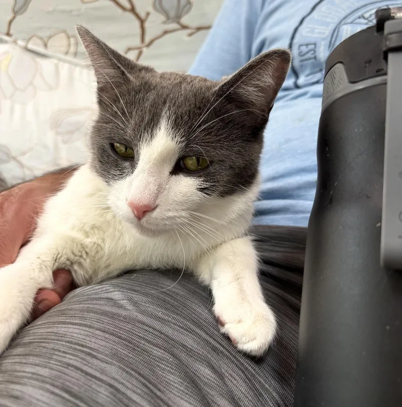 Kiki thumbnail 2