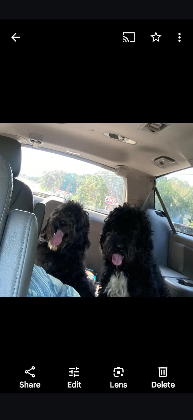 Raggedy Andy thumbnail 3