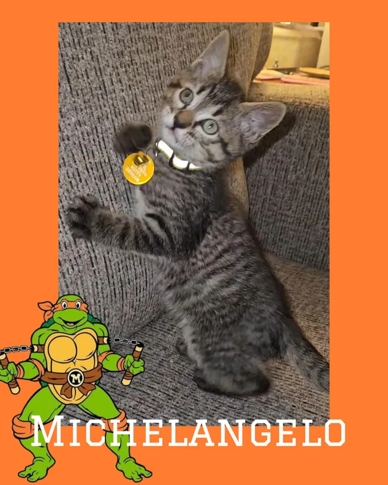 Michelangelo thumbnail 2