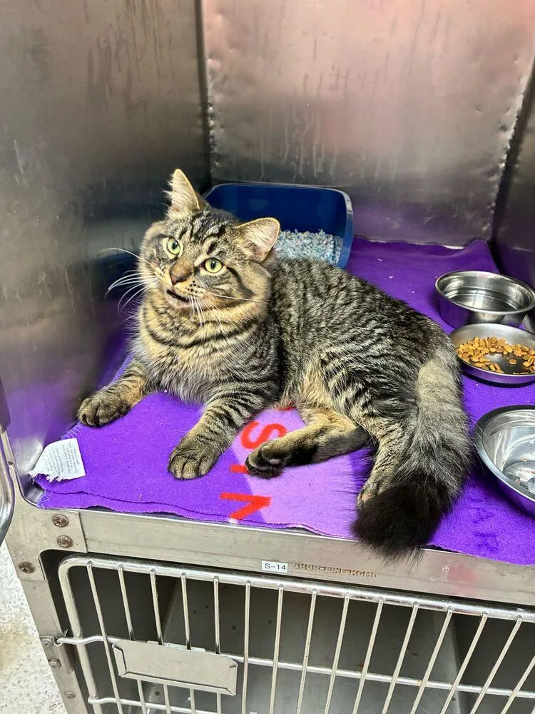 Demarcus thumbnail 2