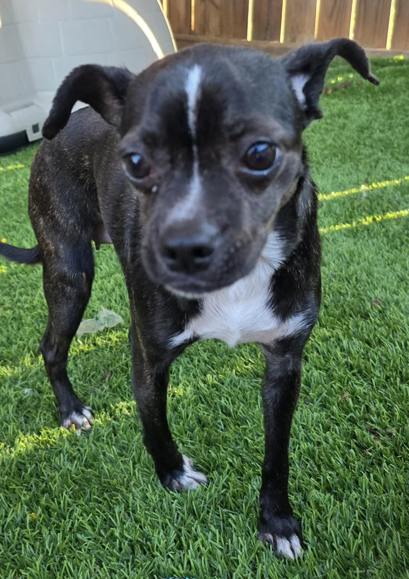 Charlotte thumbnail 2