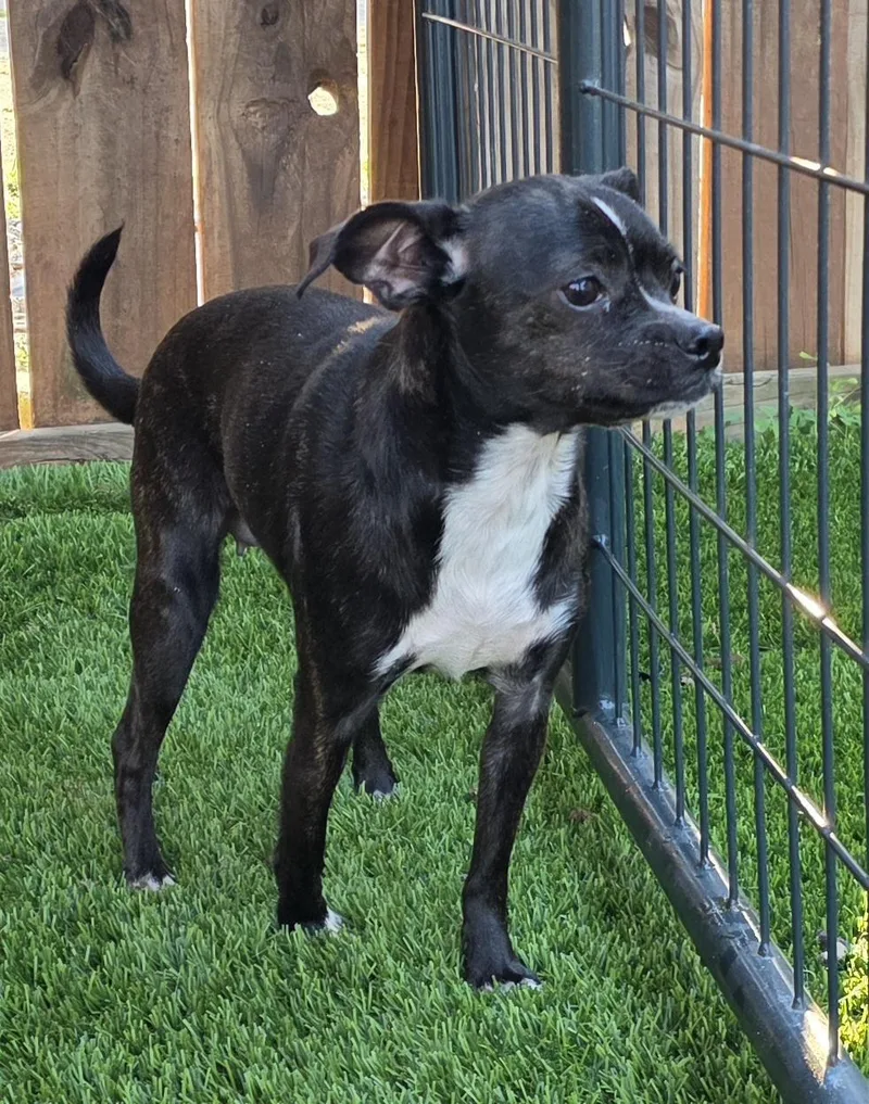 Charlotte thumbnail 3