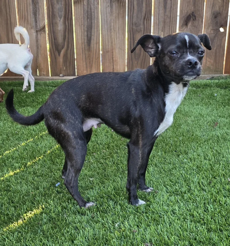 Charlotte thumbnail 4