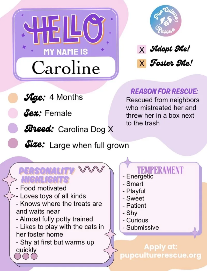 Caroline