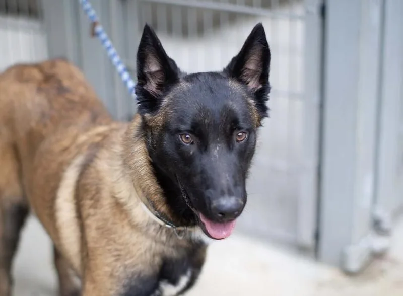 Theo located in California thumbnail 2