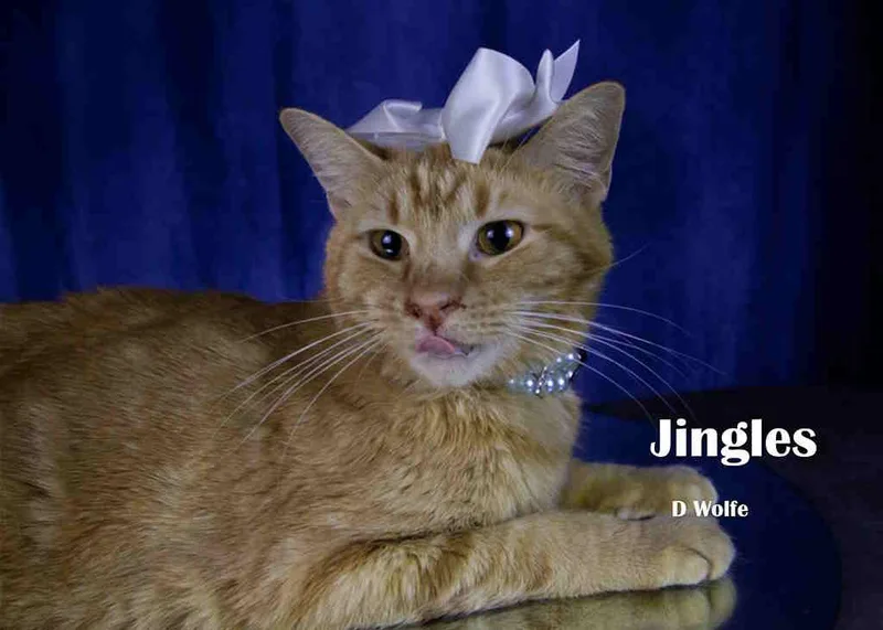 Jingles