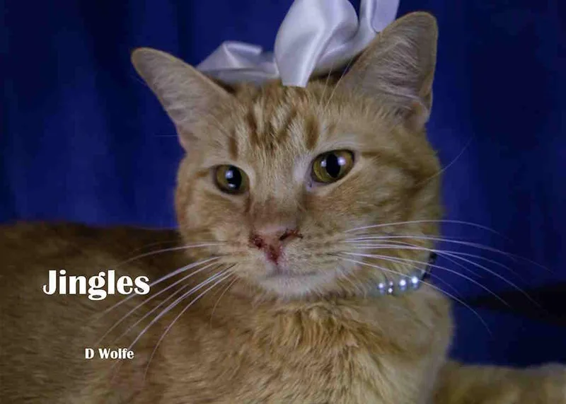 Jingles thumbnail 2