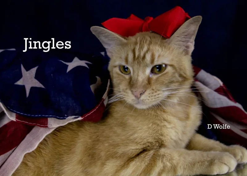 Jingles thumbnail 3