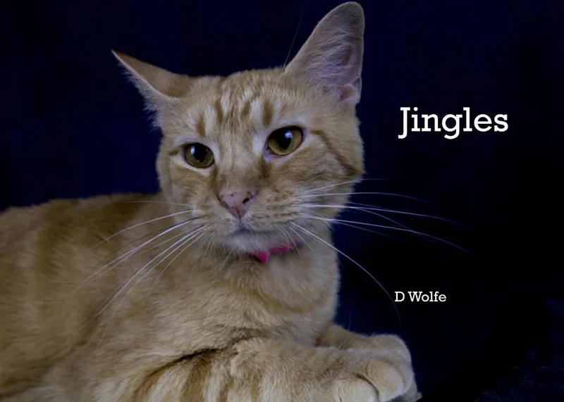 Jingles thumbnail 4