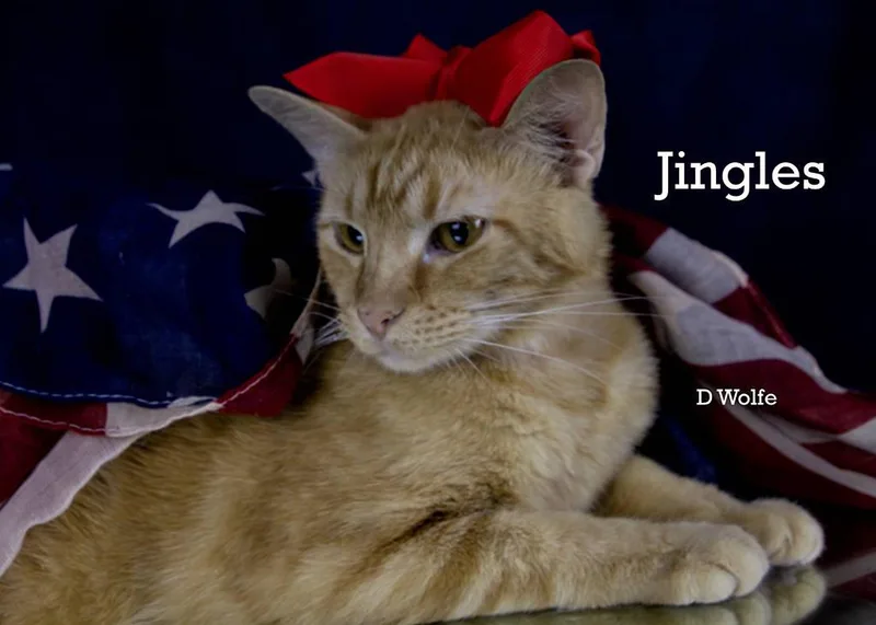Jingles thumbnail 5