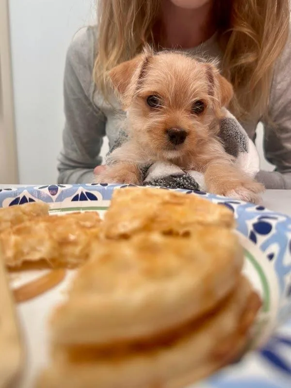 Frankie thumbnail 2