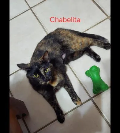 Chabelita