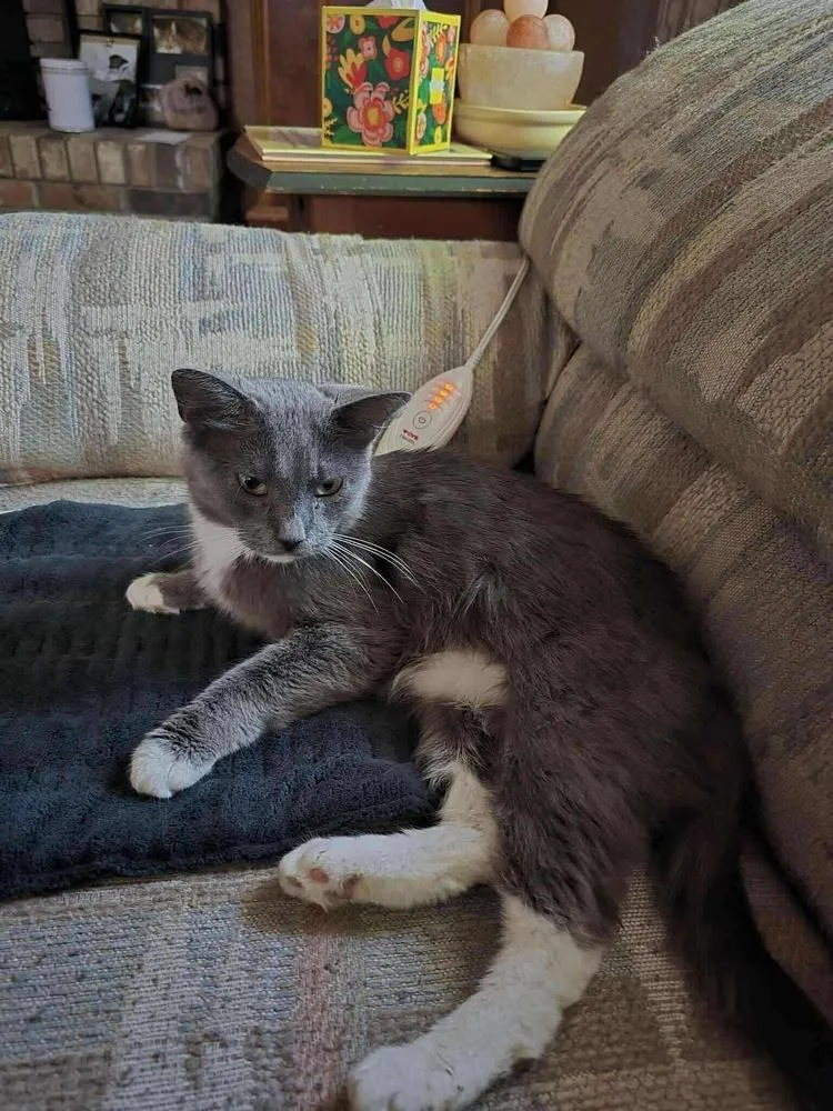 Mama Luna