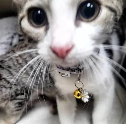 Billy