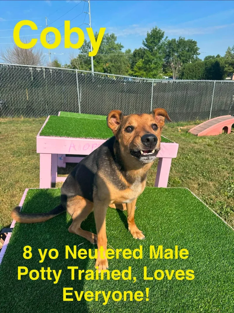 Coby