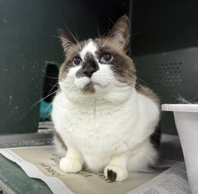 Tip Fka Phobie thumbnail 2