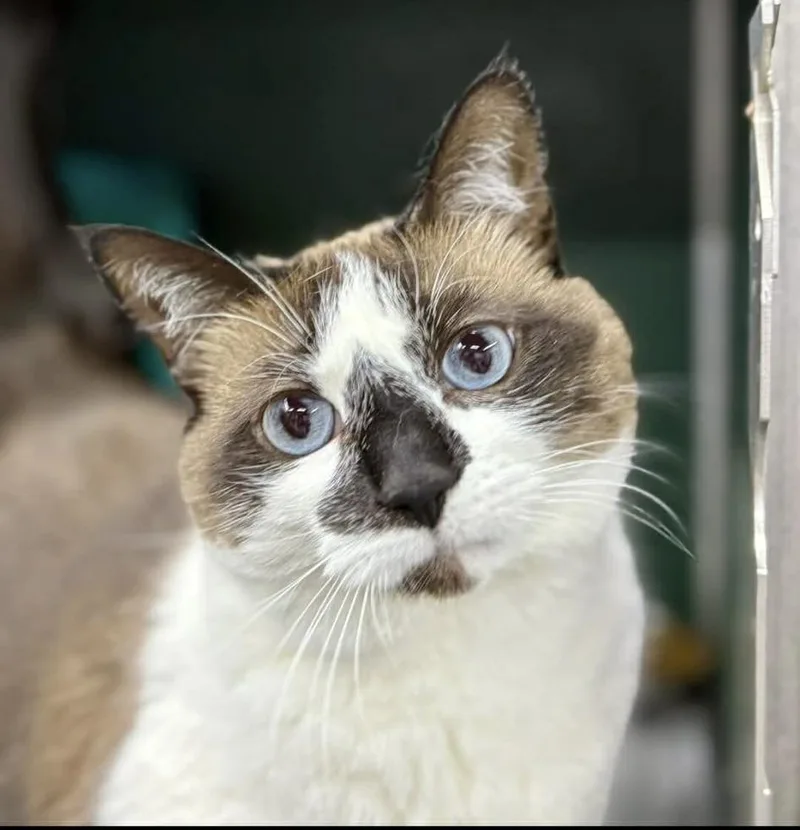 Tip Fka Phobie thumbnail 3