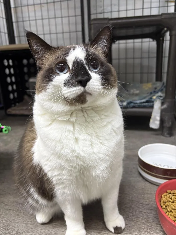 Tip Fka Phobie thumbnail 4