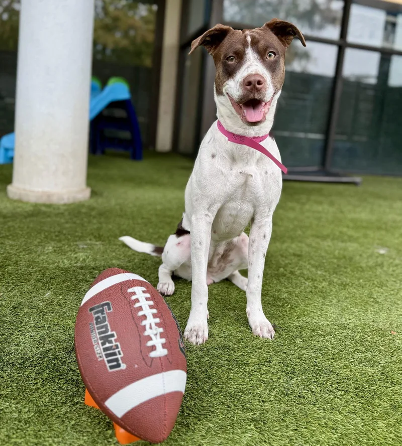 Susie Lovebugextraordinaire thumbnail 2