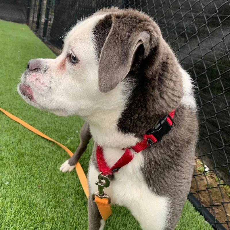 Sastrugi thumbnail 2