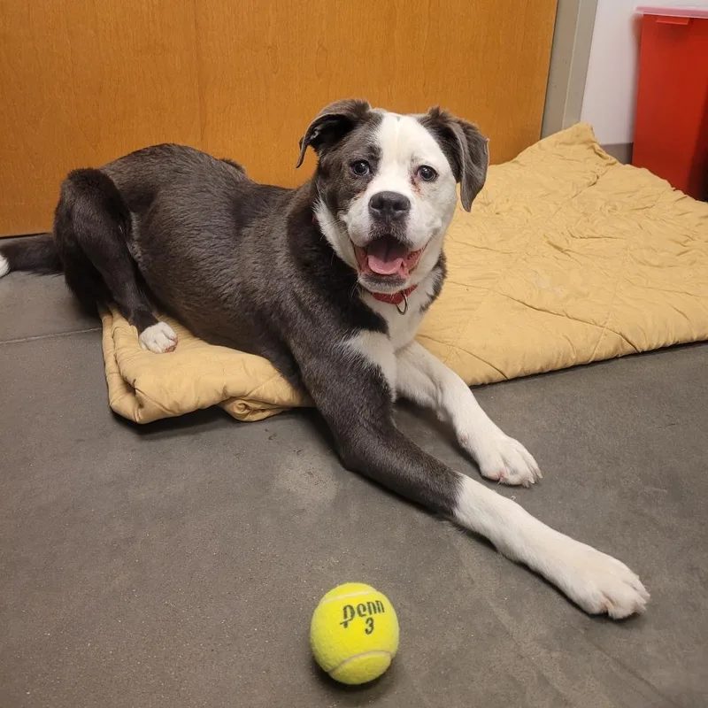 Sastrugi thumbnail 3