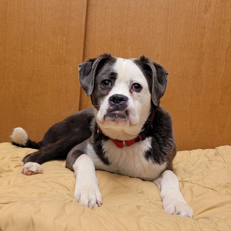 Sastrugi thumbnail 4