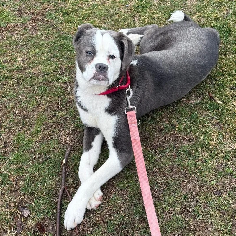 Sastrugi thumbnail 5