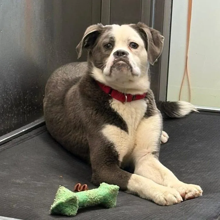 Sastrugi thumbnail 6