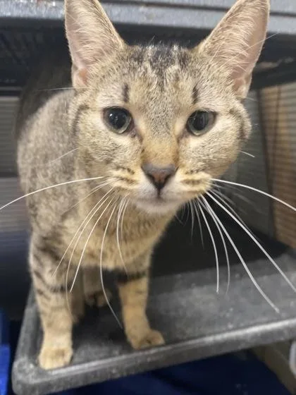 Roseanne thumbnail 3