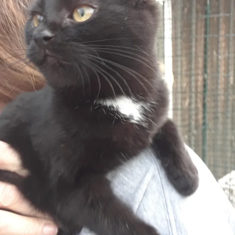 Monday  Monday thumbnail 2