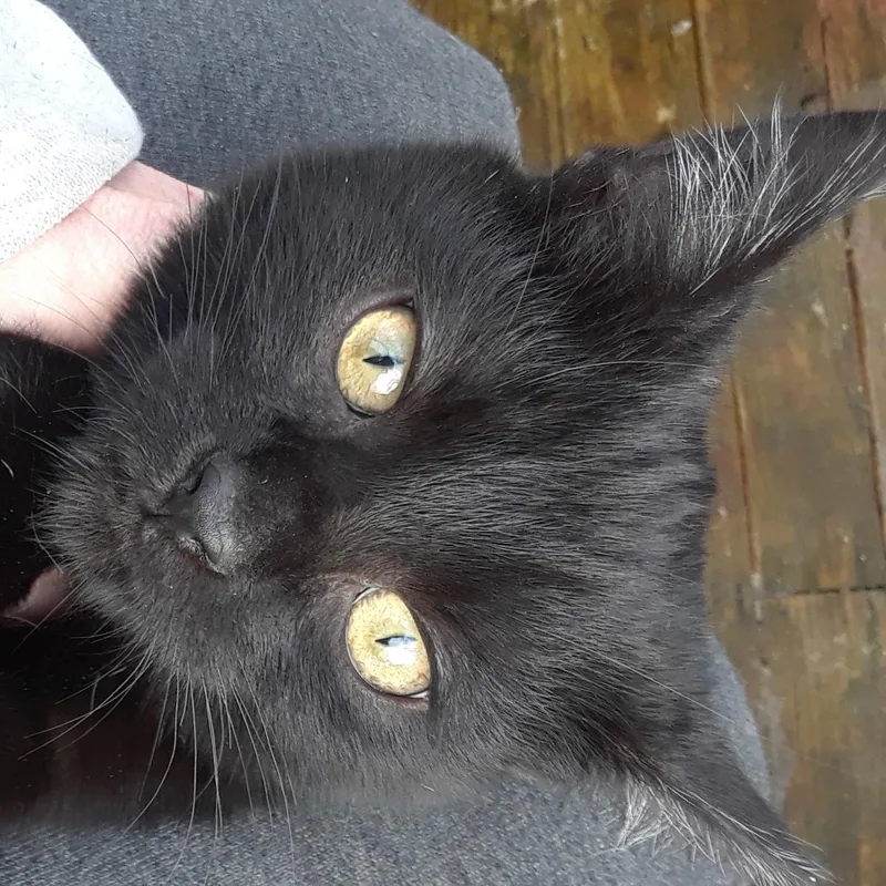 Monday  Monday thumbnail 3