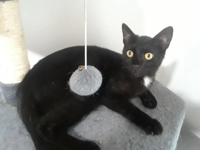 Monday  Monday thumbnail 4