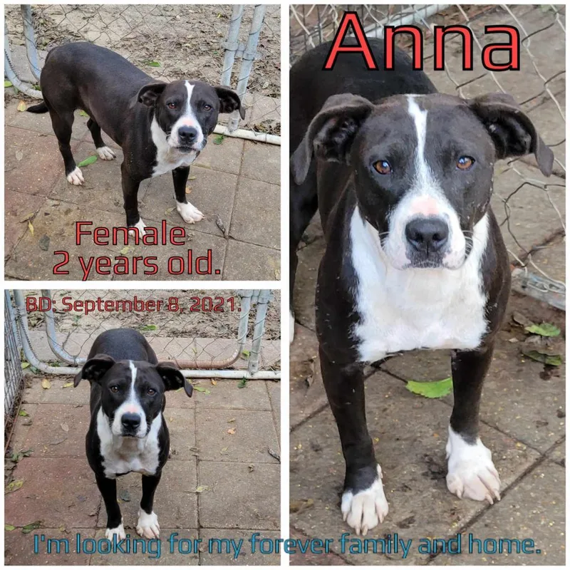 Anna thumbnail 3